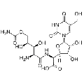 anti-HYAL1 antibody (Hyaluronidase-1) (N-Term)