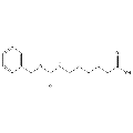 anti-HYAL1 antibody (Hyaluronidase-1) (N-Term)