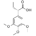 anti-HYAL1 antibody (Hyaluronidase-1) (N-Term)