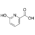 anti-HYAL1 antibody (Hyaluronidase-1) (N-Term)