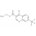anti-HYAL1 antibody (Hyaluronidase-1) (N-Term)