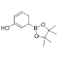 anti-HYAL1 antibody (Hyaluronidase-1) (N-Term)