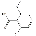 anti-HYAL1 antibody (Hyaluronidase-1) (N-Term)