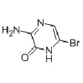 anti-HYAL1 antibody (Hyaluronidase-1) (N-Term)