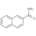 anti-HYAL1 antibody (Hyaluronidase-1) (N-Term)