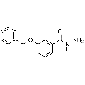 anti-HYAL1 antibody (Hyaluronidase-1) (N-Term)