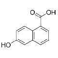 anti-HYAL1 antibody (Hyaluronidase-1) (N-Term)