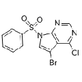 anti-HYAL1 antibody (Hyaluronidase-1) (N-Term)