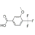 anti-HYAL1 antibody (Hyaluronidase-1) (N-Term)