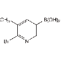 anti-HYAL1 antibody (Hyaluronidase-1) (N-Term)