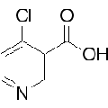 anti-HYAL1 antibody (Hyaluronidase-1) (N-Term)