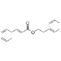 anti-HYAL1 antibody (Hyaluronidase-1) (N-Term)