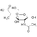anti-HYAL1 antibody (Hyaluronidase-1) (N-Term)