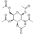 anti-HYAL1 antibody (Hyaluronidase-1) (N-Term)