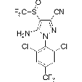 anti-HYAL1 antibody (Hyaluronidase-1) (N-Term)
