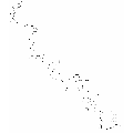 anti-HYAL1 antibody (Hyaluronidase-1) (N-Term)