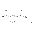 anti-HYAL1 antibody (Hyaluronidase-1) (N-Term)