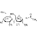 anti-HYAL1 antibody (Hyaluronidase-1) (N-Term)