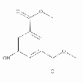 anti-HYAL1 antibody (Hyaluronidase-1) (N-Term)