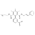 anti-HYAL1 antibody (Hyaluronidase-1) (N-Term)
