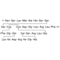 anti-HYAL1 antibody (Hyaluronidase-1) (N-Term)