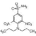 anti-HYAL1 antibody (Hyaluronidase-1) (N-Term)