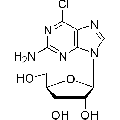 anti-HYAL1 antibody (Hyaluronidase-1) (N-Term)