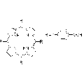 anti-HYAL1 antibody (Hyaluronidase-1) (N-Term)