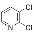 anti-HYAL1 antibody (Hyaluronidase-1) (N-Term)