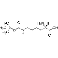 anti-HYAL1 antibody (Hyaluronidase-1) (N-Term)