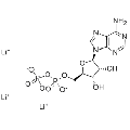 anti-HYAL1 antibody (Hyaluronidase-1) (N-Term)