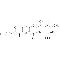 anti-HYAL1 antibody (Hyaluronidase-1) (N-Term)