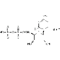 anti-HYAL1 antibody (Hyaluronidase-1) (N-Term)