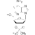 anti-HYAL1 antibody (Hyaluronidase-1) (N-Term)