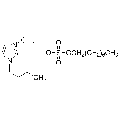 anti-HYAL1 antibody (Hyaluronidase-1) (N-Term)