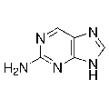 anti-HYAL1 antibody (Hyaluronidase-1) (N-Term)