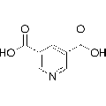 anti-HYAL1 antibody (Hyaluronidase-1) (N-Term)