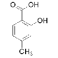 anti-HYAL1 antibody (Hyaluronidase-1) (N-Term)