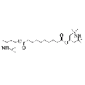 anti-HYAL1 antibody (Hyaluronidase-1) (N-Term)