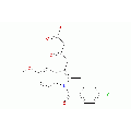 anti-HYAL1 antibody (Hyaluronidase-1) (N-Term)