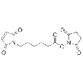 anti-HYAL1 antibody (Hyaluronidase-1) (N-Term)