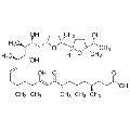 anti-HYAL1 antibody (Hyaluronidase-1) (N-Term)