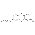 anti-HYAL1 antibody (Hyaluronidase-1) (N-Term)