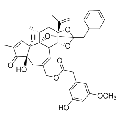 anti-HYAL1 antibody (Hyaluronidase-1) (N-Term)