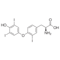anti-HYAL1 antibody (Hyaluronidase-1) (N-Term)