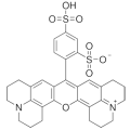 anti-HYAL1 antibody (Hyaluronidase-1) (N-Term)