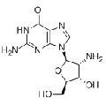 anti-HYAL1 antibody (Hyaluronidase-1) (N-Term)