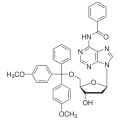 anti-HYAL1 antibody (Hyaluronidase-1) (N-Term)
