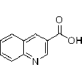 anti-HYAL1 antibody (Hyaluronidase-1) (N-Term)