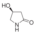 anti-HYAL1 antibody (Hyaluronidase-1) (N-Term)